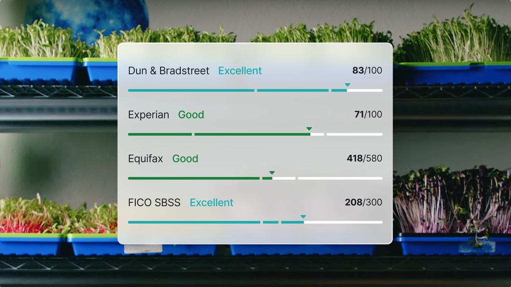 Credit scores from Dun & Bradstreet, Experian, Equifax, and FICO SBSS shown over trays of green sprouts