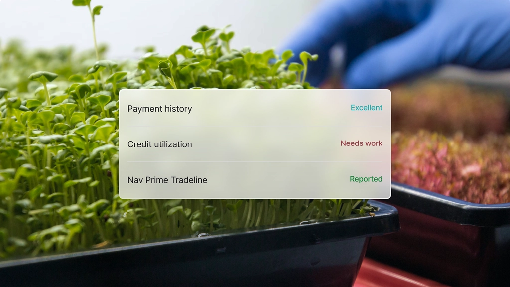 Account stats on Nav Prime