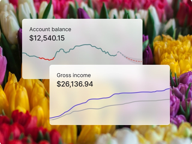 Graphs showing account balance of $12,540.15 and gross income of $26,136.94 over a background of colorful flowers
